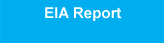 EIA Report